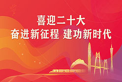 党的二十大主题宣传